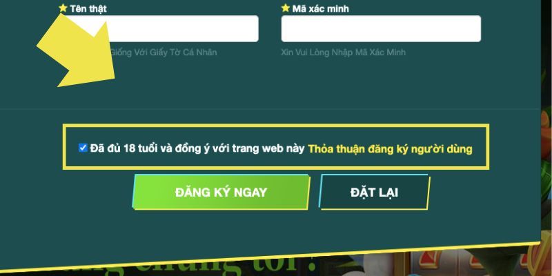 Yêu cầu để trở thành người chơi chính thức trên trang web